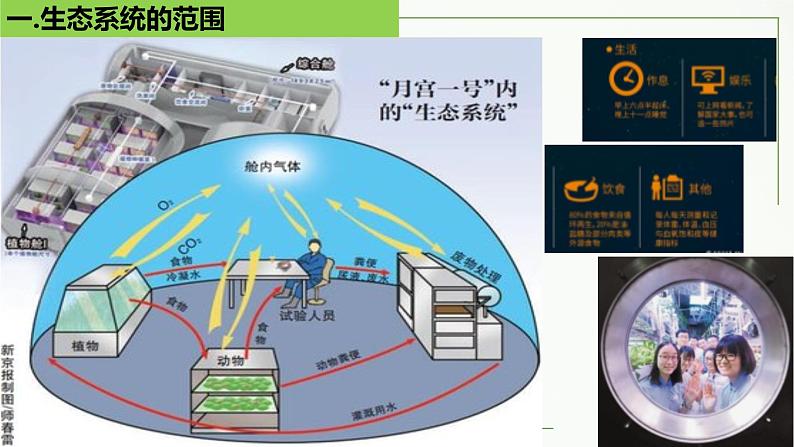 高中生物选择性必修二 3.1 生态系统的结构精讲课件07