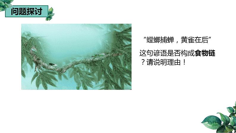 高中生物选择性必修二 3.1 生态系统的结构（第二课时）精品课件02