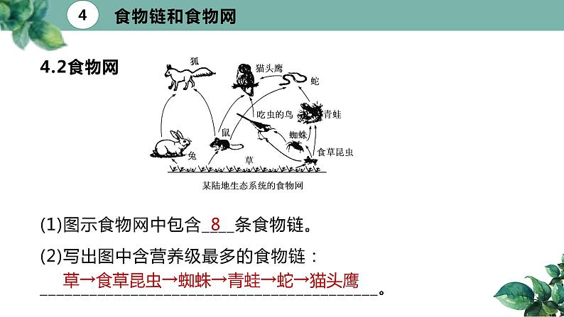 高中生物选择性必修二 3.1 生态系统的结构（第二课时）精品课件08