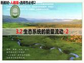 高中生物选择性必修二 3.2 生态系统的能量流动（第2课时）精讲课件