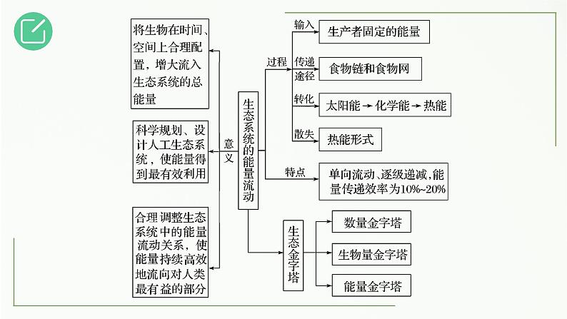 高中生物选择性必修二 3.2 生态系统的能量流动（第2课时）精讲课件03