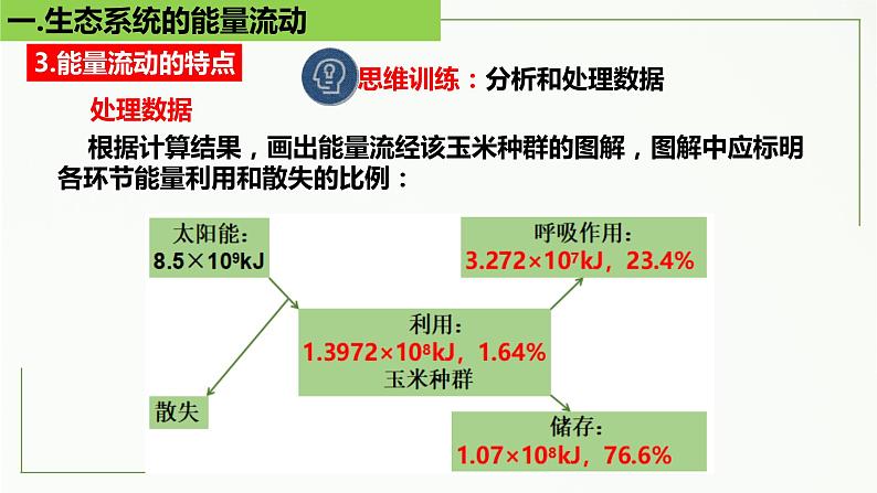 高中生物选择性必修二 3.2 生态系统的能量流动（第2课时）精讲课件06