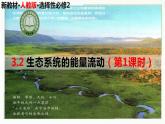 高中生物选择性必修二 3.2 生态系统的能量流动（第1课时）精讲课件