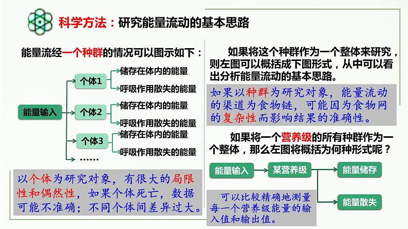 高中生物选择性必修二 3.2 生态系统的能量流动（第1课时）精讲课件06