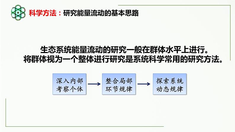 高中生物选择性必修二 3.2 生态系统的能量流动（第1课时）精讲课件07