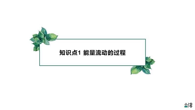 高中生物选择性必修二 3.2 生态系统的能量流动（第一课时）精品课件04