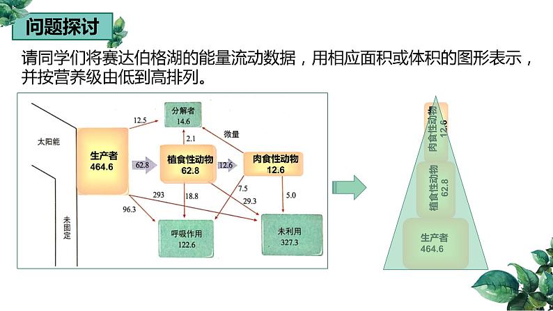 高中生物选择性必修二 3.2 生态系统的能量流动（第二课时）精品课件第2页