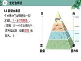 高中生物选择性必修二 3.2 生态系统的能量流动（第二课时）精品课件