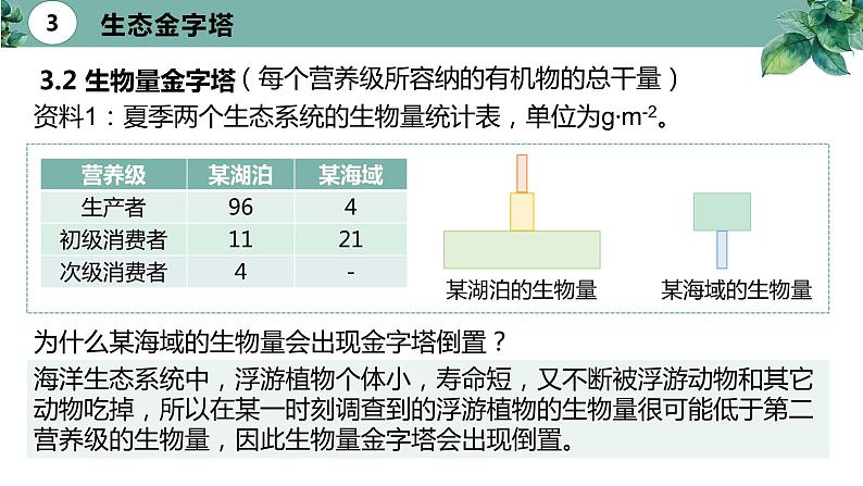 高中生物选择性必修二 3.2 生态系统的能量流动（第二课时）精品课件第6页