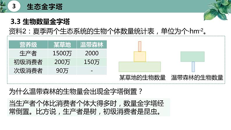 高中生物选择性必修二 3.2 生态系统的能量流动（第二课时）精品课件第7页