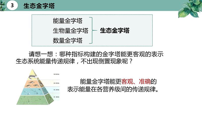 高中生物选择性必修二 3.2 生态系统的能量流动（第二课时）精品课件第8页