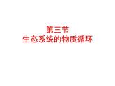 高中生物选择性必修二 3.3生态系统的物质循环 课件