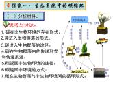 高中生物选择性必修二 3.3生态系统的物质循环 课件