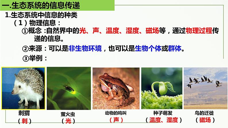 高中生物选择性必修二 3.4 生态系统的信息传递精讲课件06