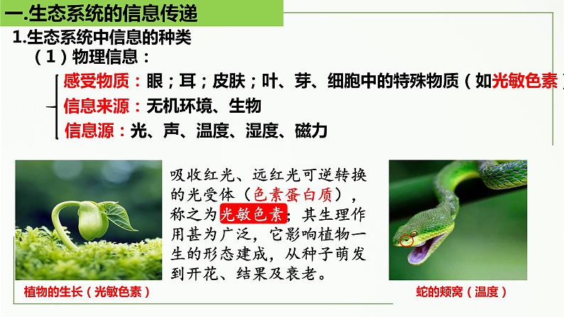 高中生物选择性必修二 3.4 生态系统的信息传递精讲课件07