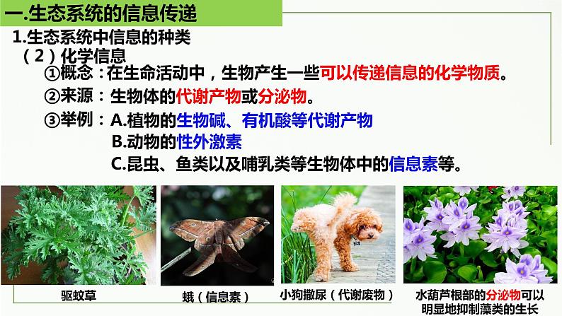 高中生物选择性必修二 3.4 生态系统的信息传递精讲课件08