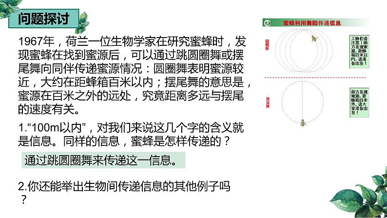 高中生物选择性必修二 3.4生态系统的信息传递精品课件02