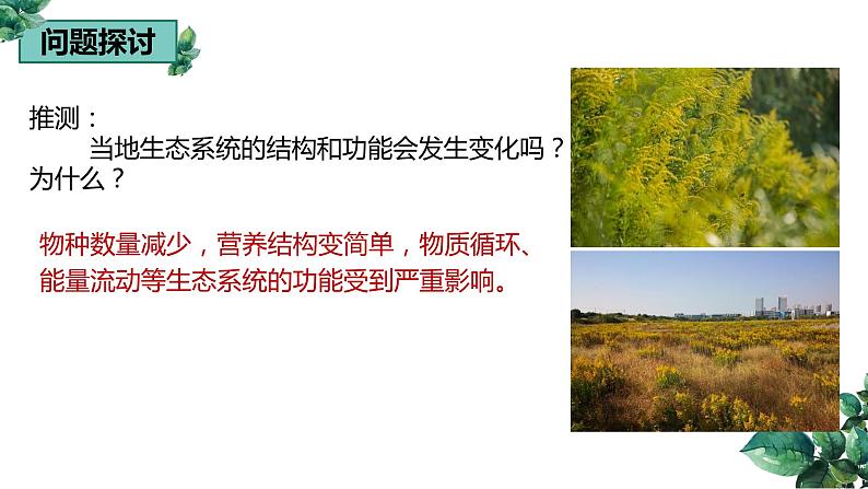 高中生物选择性必修二 3.5生态系统的稳定性精品课件04