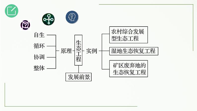 高中生物选择性必修二 4.3 生态工程精讲课件03