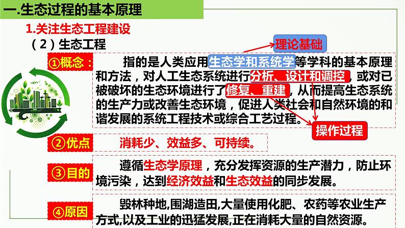 高中生物选择性必修二 4.3 生态工程精讲课件07