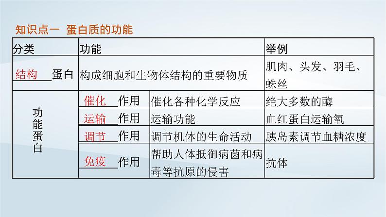 高中生物第2章第4节蛋白质是生命活动的主要承担者课件新人教版必修1第5页