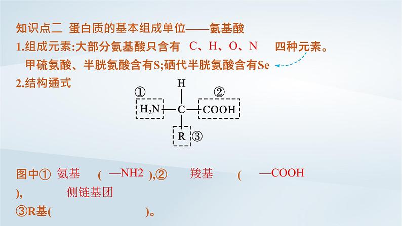 高中生物第2章第4节蛋白质是生命活动的主要承担者课件新人教版必修1第8页