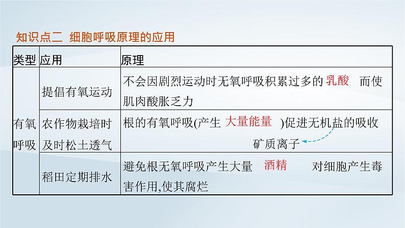 高中生物第5章第3节细胞呼吸的原理和应用第2课时无氧呼吸细胞呼吸的影响因素及其应用课件新人教版必修107