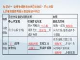 高中生物第6章第1节细胞的增殖第2课时动植物细胞有丝分裂的比较及观察根尖分生区组织细胞的有丝分裂课件新人教版必修1