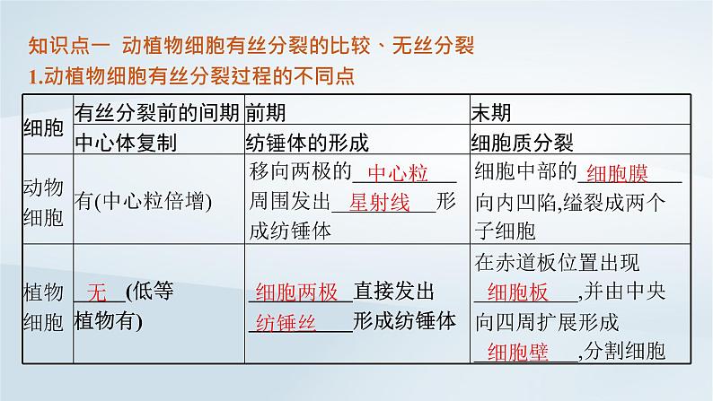 高中生物第6章第1节细胞的增殖第2课时动植物细胞有丝分裂的比较及观察根尖分生区组织细胞的有丝分裂课件新人教版必修1第4页