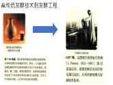 高中生物选择性必修三  1.1 传统发酵技术的应用 课件