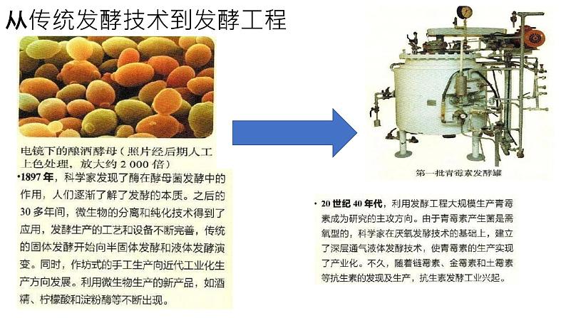 高中生物选择性必修三  1.1 传统发酵技术的应用 课件第4页