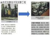高中生物选择性必修三  1.1 传统发酵技术的应用 课件