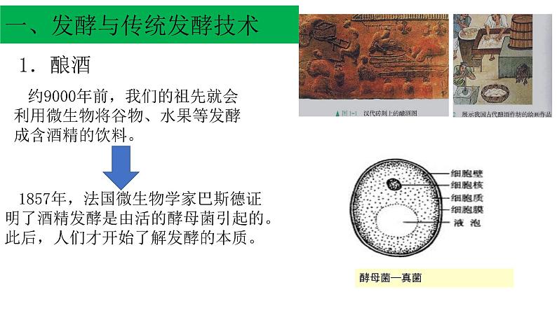 高中生物选择性必修三  1.1 传统发酵技术的应用 课件第8页