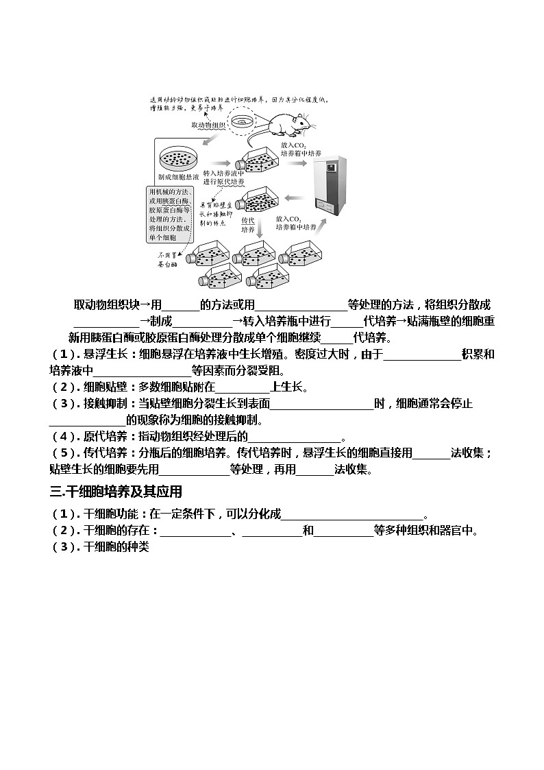 高中生物选择性必修三  2.2.1 动物细胞培养（导学案）02