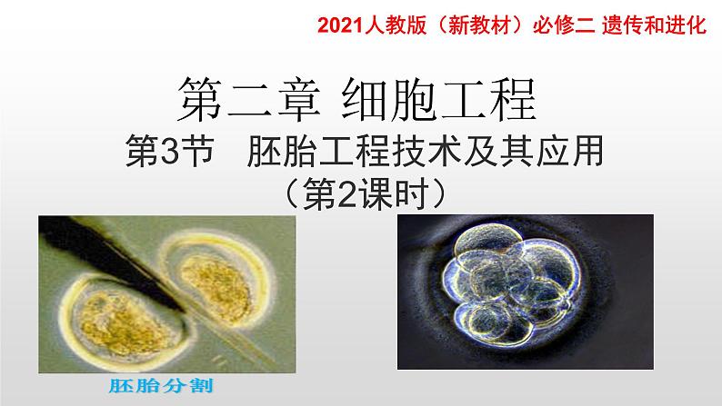 高中生物选择性必修三  2.3.2 胚胎工程技术及其应用（第二课时） 课件第1页