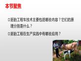 高中生物选择性必修三  2.3.2 胚胎工程技术及其应用（第二课时） 课件
