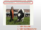 高中生物选择性必修三  2.3.2 胚胎工程技术及其应用（第二课时） 课件