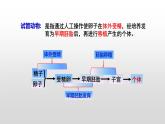 高中生物选择性必修三  2.3.2 胚胎工程技术及其应用（第二课时） 课件