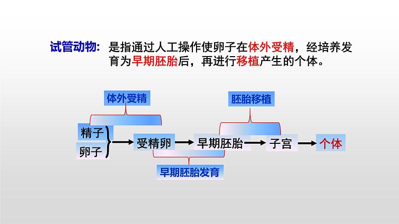 高中生物选择性必修三  2.3.2 胚胎工程技术及其应用（第二课时） 课件第5页