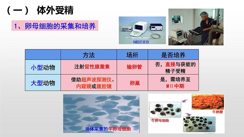 高中生物选择性必修三  2.3.2 胚胎工程技术及其应用（第二课时） 课件第7页