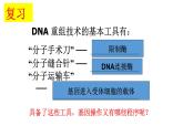 高中生物选择性必修三  3.2 基因工程的基本操作程序 课件