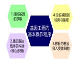 高中生物选择性必修三  3.2 基因工程的基本操作程序 课件
