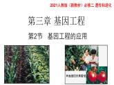 高中生物选择性必修三  3.3基因工程的应用 课件