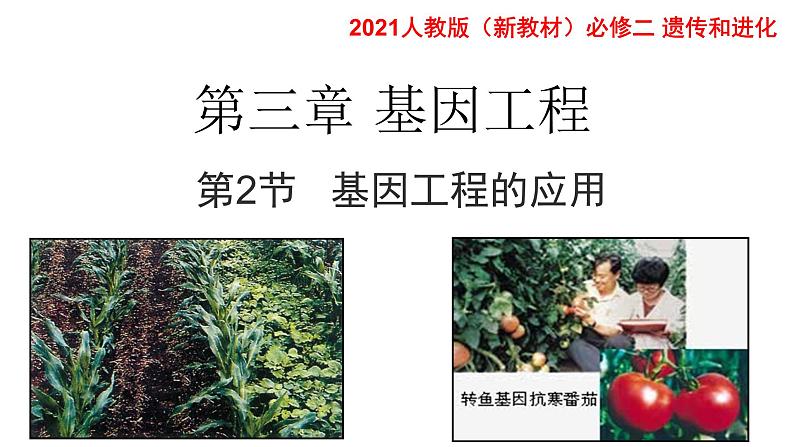 高中生物选择性必修三  3.3基因工程的应用 课件01