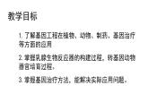 高中生物选择性必修三  3.3基因工程的应用 课件