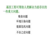 高中生物选择性必修三  3.3基因工程的应用 课件