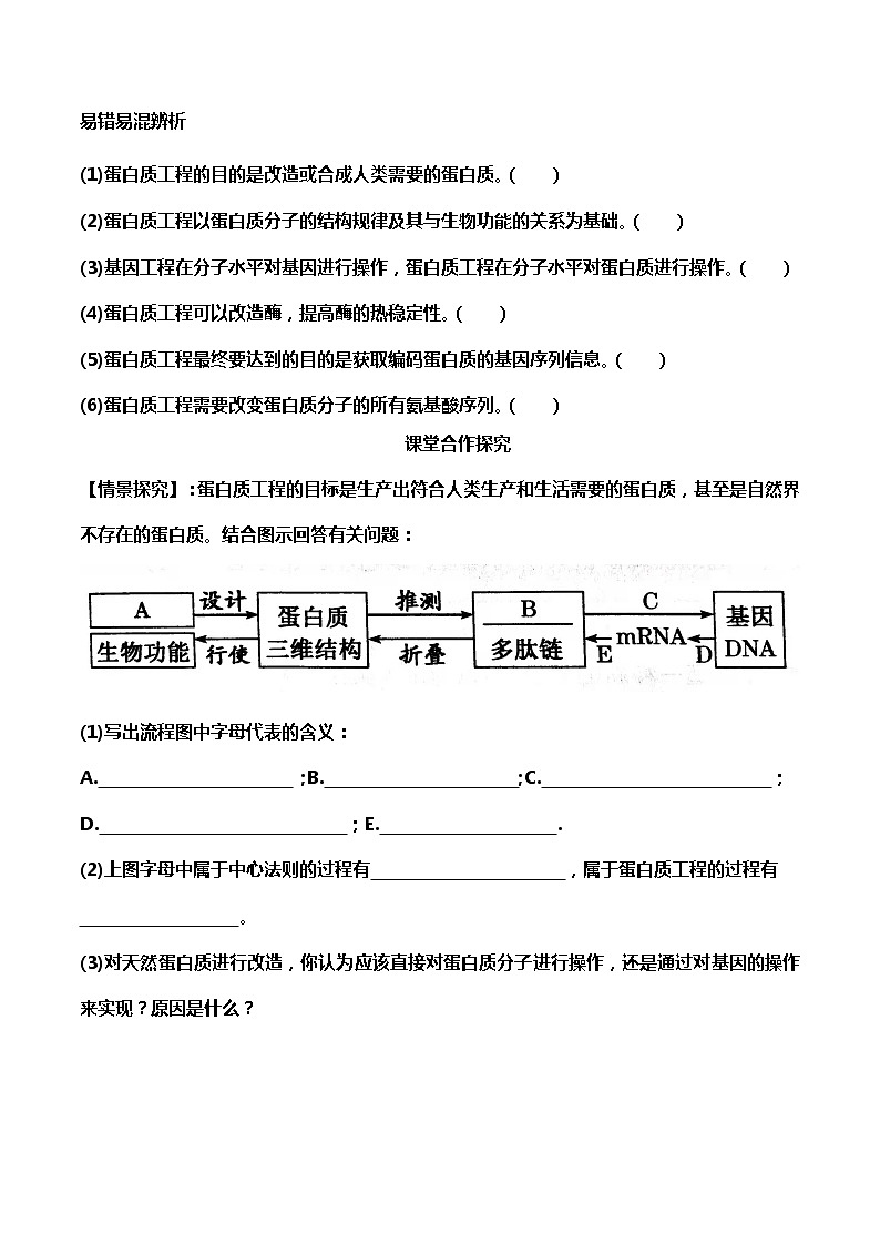高中生物选择性必修三  3.4 蛋白质工程的原理和应用（导学案）03