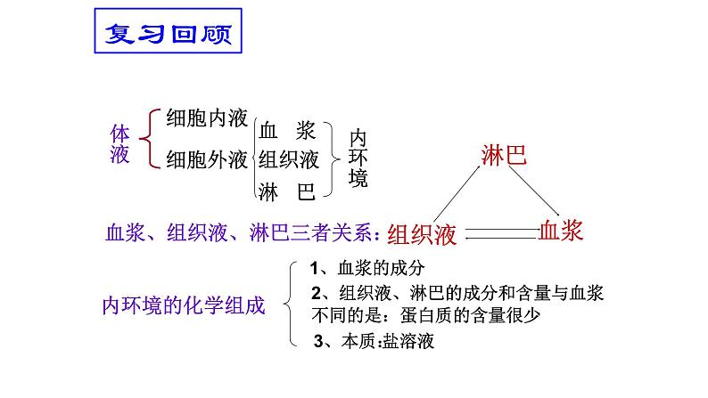 高中生物选择性必修一   1 1.2 内环境的稳态  课件(共33张)01