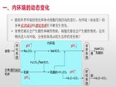 高中生物选择性必修一   1.2 内环境的稳态 课件