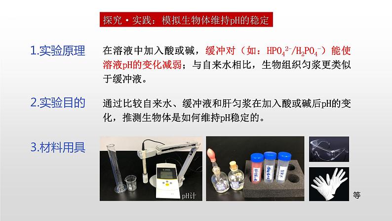 高中生物选择性必修一   1.2 内环境的稳态 课件06